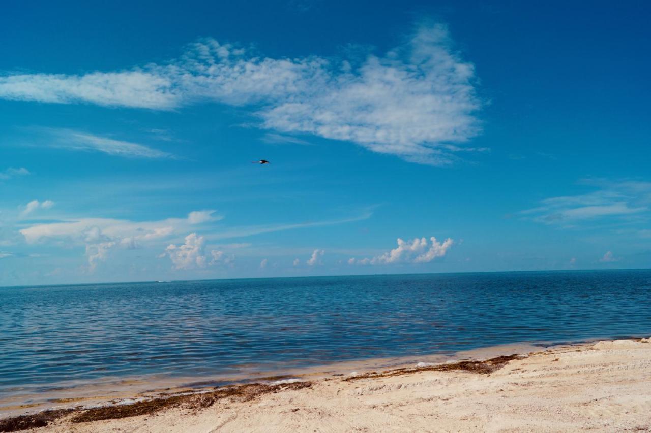 Deer Run On The Atlantic Bed & Breakfast Big Pine Key Exterior foto